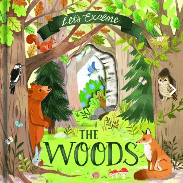 Let’s Explore the Woods