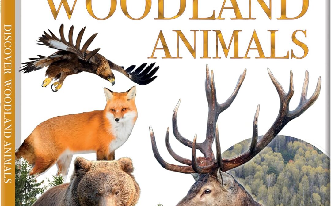 Discover Woodland Animals